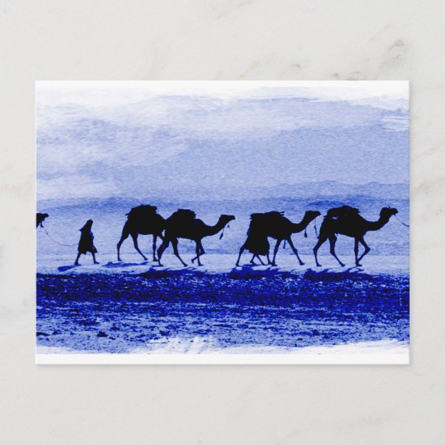 Carte postale bleue Caravan Camel Désert (Devant)