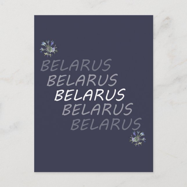 Carte Postale Bleuet National Biélorusse (Devant)