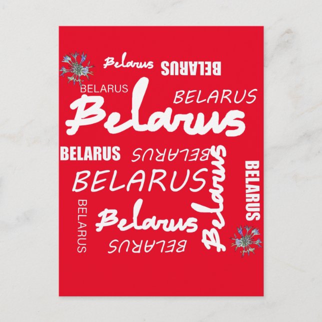 Carte Postale Bleuet National Biélorusse (Devant)