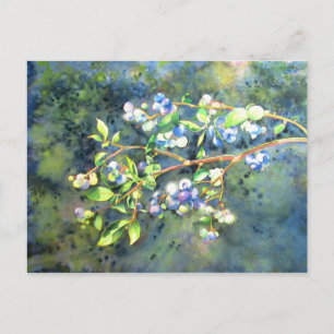 Carte Postale Bleuets, fruit romantique Peinture d'aquarelle