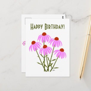 Carte Postale Bleuets Violets