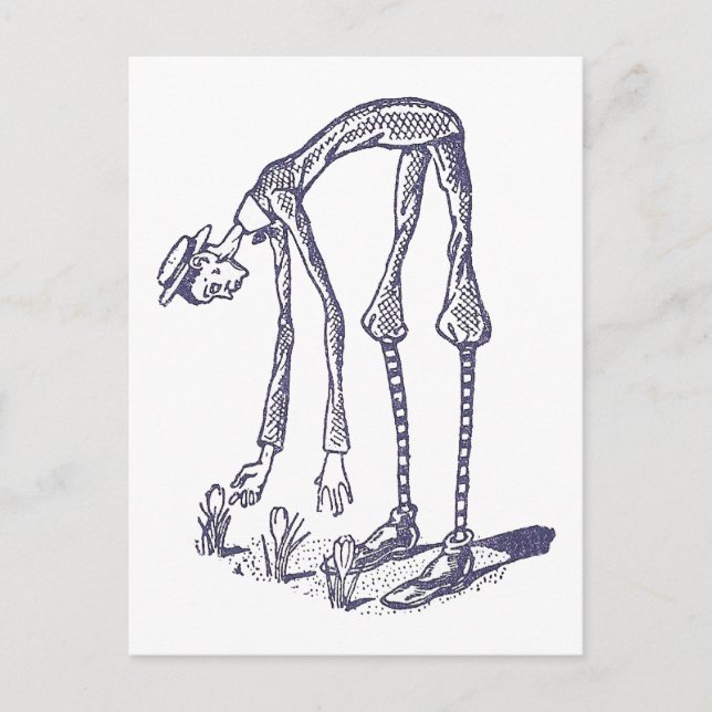 Carte Postale Blib Picks Fleurs (Devant)
