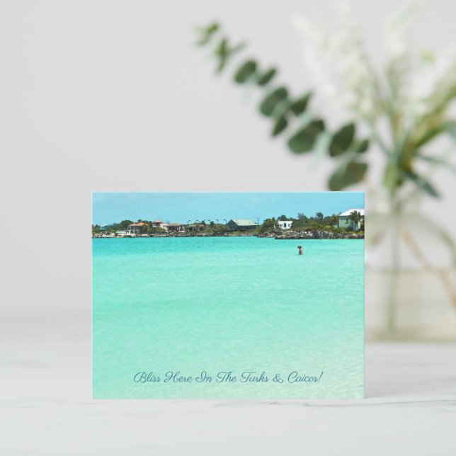 CARTE POSTALE BLISS DANS LES TURCS & CAICOS (Debout devant)