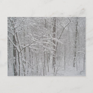 Carte Postale Blizzard en février 2010