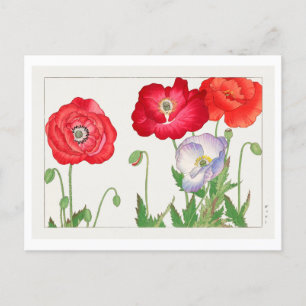 Carte Postale Bloc de bois de pavot japonais vintage