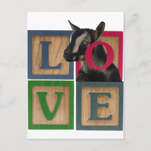 CARTE POSTALE BLOCS CHÈVRE D'AMOUR (Devant)