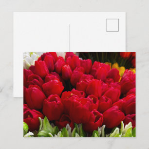 Carte Postale Bloemenmarkt Fleurs