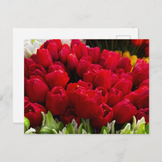 Carte Postale Bloemenmarkt Fleurs