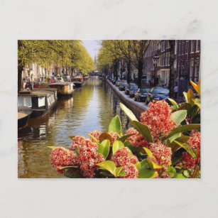 Carte Postale Bloemgracht Amsterdam Summer