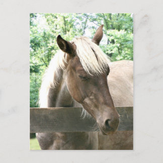 Carte Postale Blondie