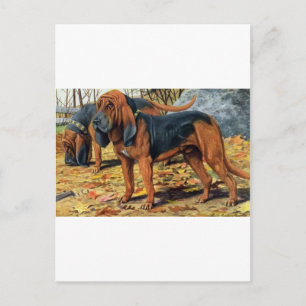 Carte Postale Bloodhound