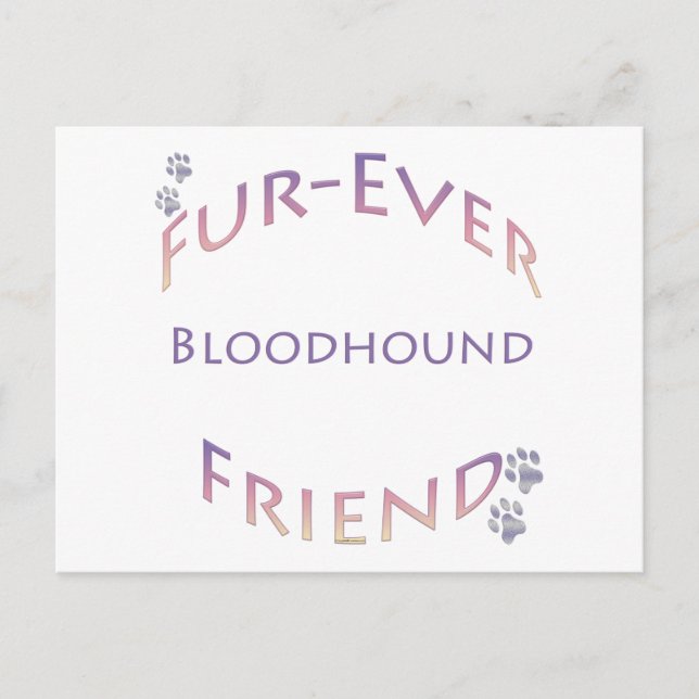 Carte Postale Bloodhound Furever (Devant)