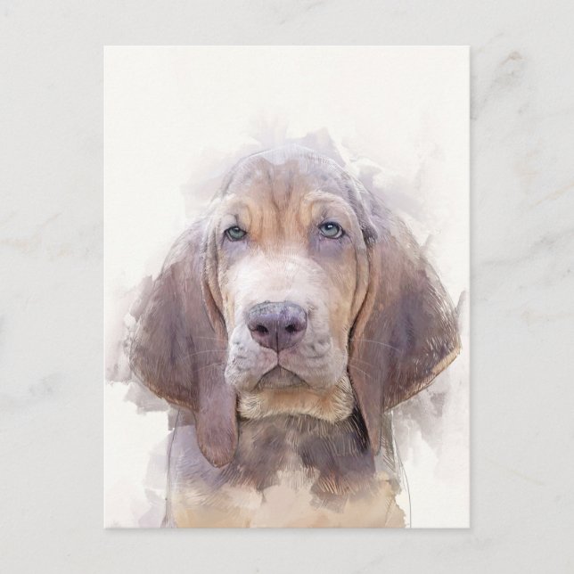 Carte Postale Bloodhound Puppy Portrait (Devant)