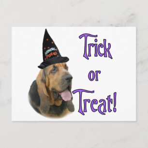 Carte Postale Bloodhound Trick
