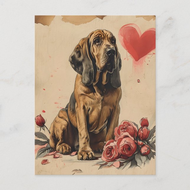 Carte Postale Bloodhound vintage Saint-Valentin (Devant)