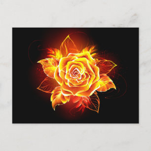 Carte Postale Blooming Fire Rose