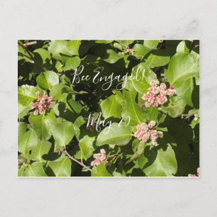 Carte Postale BloomingCalifornia : Les abeilles sont engagées !