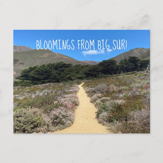 Carte Postale Bloomings de Big Sur ! (Devant)