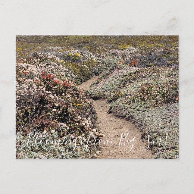 Carte Postale Bloomings de Big Sur ! (Devant)