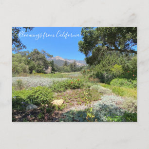 Carte Postale Bloomings de Californie : Western Columbine