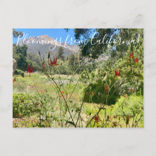 Carte Postale Bloomings de Californie : Western Columbine Postc