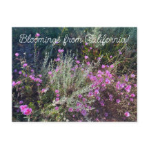 Bloomings from California : Adieu au printemps!