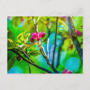 Carte Postale Blossom à l'intérieur
