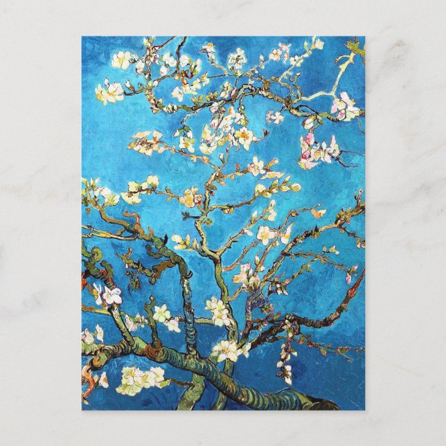 Carte Postale Blossoming Almond Tree Van Gogh Fine Art (Devant)