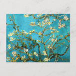 Carte Postale Blossoming Almond Tree Van Gogh Fine Art<br><div class="desc">Branches d'amandes florissantes,  peinture à l'huile de Vincent van Gogh.</div>