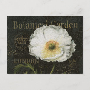 Carte Postale Blossoms blancs et Feuille