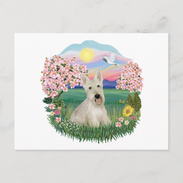 Carte Postale Blossoms - Scottish Terrier roux (Devant)