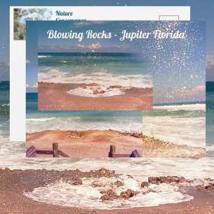 Carte Postale Blowing Rocks Jupiter FL Photographique