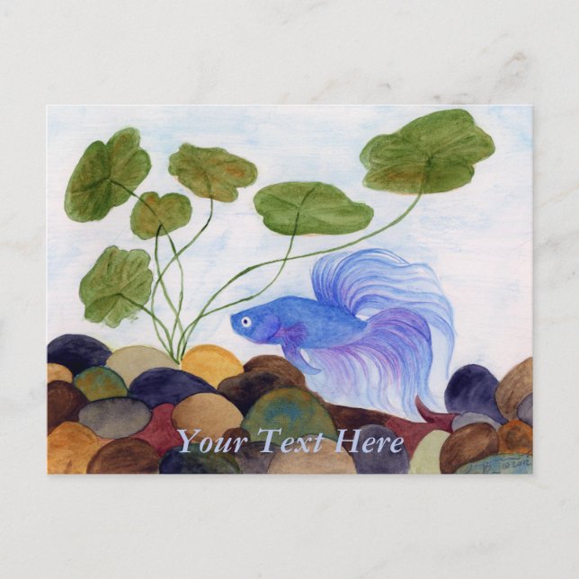 Carte postale Blue Betta Fish (Devant)
