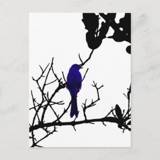 Carte Postale Blue bird on black tree