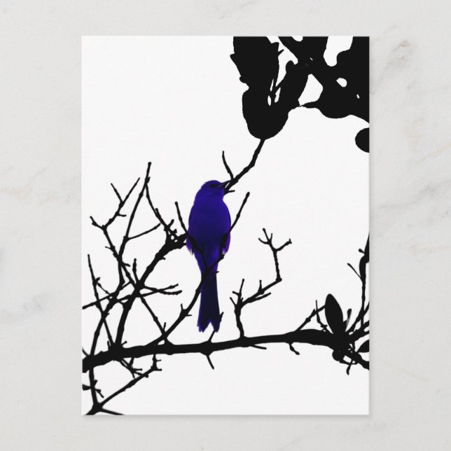 Carte Postale Blue bird on black tree (Devant)