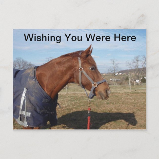 Carte Postale Blue Blue Blue Sea - J'Aimerais Que Vous Étiez Ici (Devant)