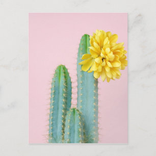 Carte Postale Blue Cactus Trio