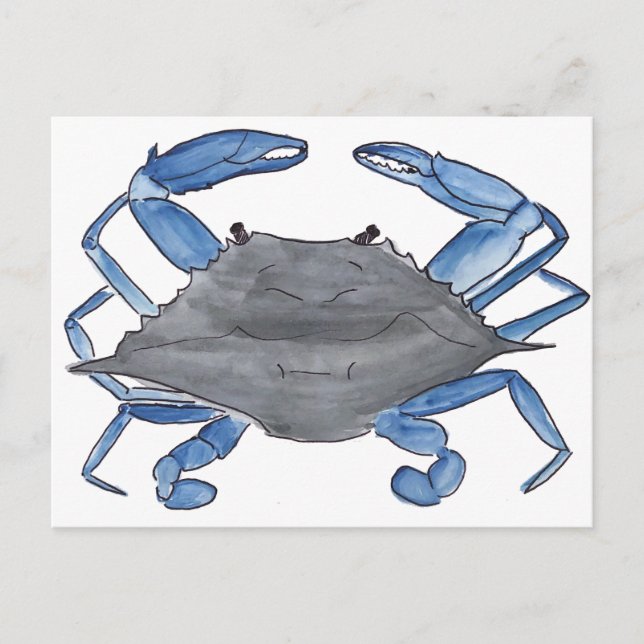 Carte Postale Blue Crab Postcard (Devant)