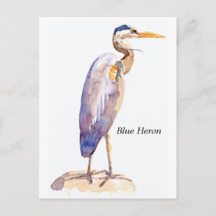 Carte postale Blue Heron