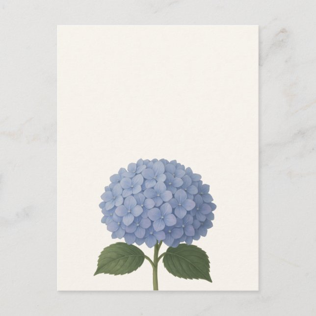 Carte Postale Blue Hydrangea Botanical Illustration Design (Devant)