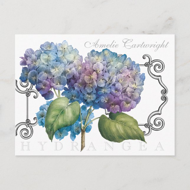 Carte Postale Blue Hydrangea Floral Nom monogramme (Devant)