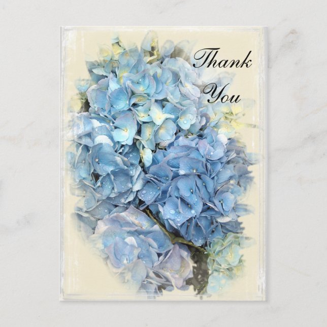 Carte Postale Blue Hydrangea Flower Merci note (Devant)