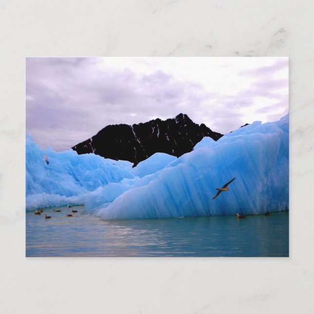 Carte Postale Blue ice berg (Devant)
