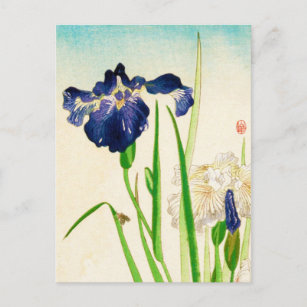 Carte Postale Blue Iris - imprimé japonais aquarelle