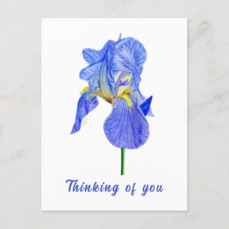Carte postale Blue Iris Pensées pour toi