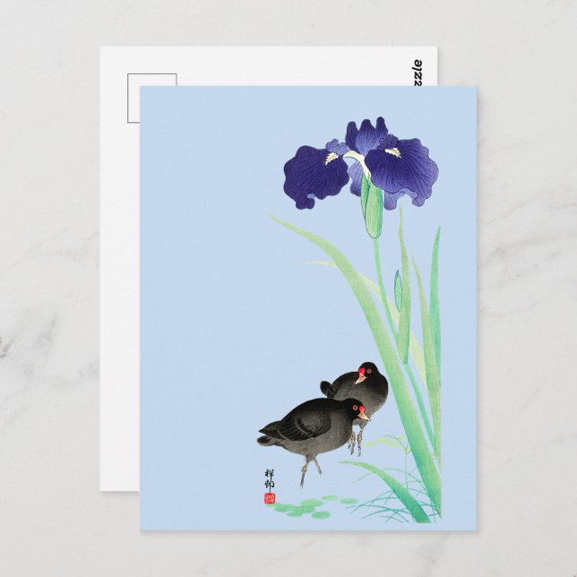 Carte Postale Blue Irises and Moorhens par Ohara Koson (Devant / Derrière)