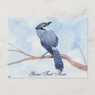 Carte Postale Blue Jay