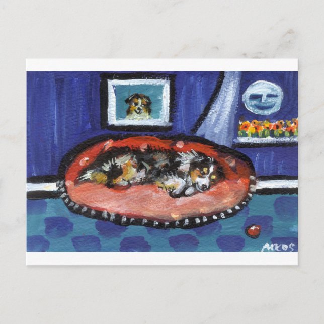 Carte Postale Blue Merle Australian Shepherd dans le lit (Devant)