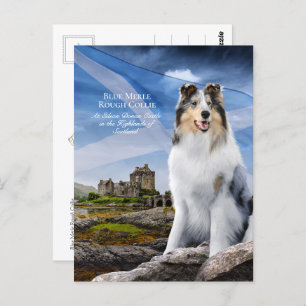 Carte Postale Blue Merle Collie, Eilean Donan et Scottish Flag -