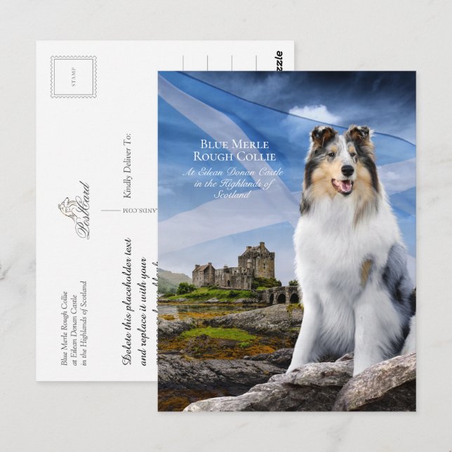Carte Postale Blue Merle Collie, Eilean Donan et Scottish Flag - (Devant / Derrière)